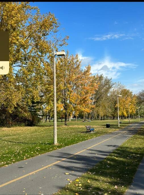 Cozy Spacious Work Friendly Lotus With Garden View High Speed Free Wi Fi And Parking Adjacent To Downtown Montreal Exterior foto