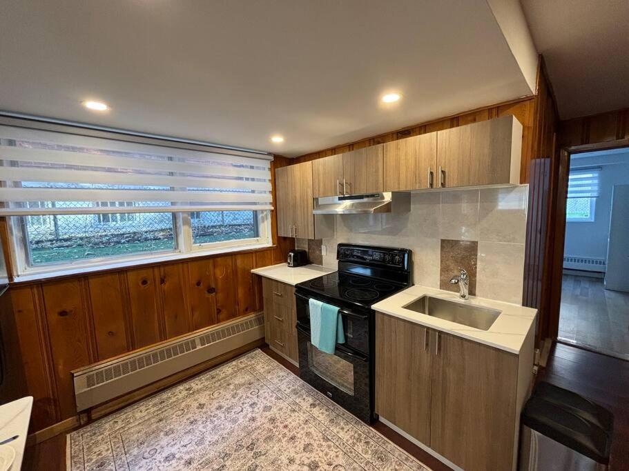 Cozy Spacious Work Friendly Lotus With Garden View High Speed Free Wi Fi And Parking Adjacent To Downtown Montreal Exterior foto